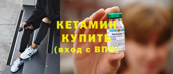 сатива Новозыбков