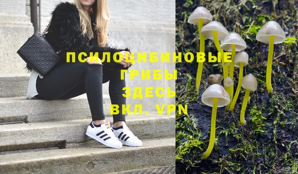 MESCALINE Белокуриха